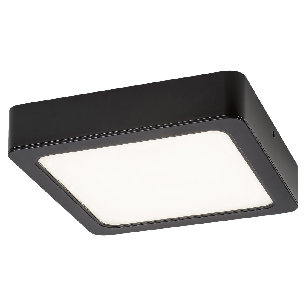 Plafoniera LED design modern Shaun negru 17x17cm, Plafoniere LED⭐ modele moderne pentru iluminat living, dormitor, bucatarie.✅DeSiGn decorativ!❤️Promotii lampi LED❗ ➽www.evalight.ro. Alege lustre LED de interior de tip plafoniera aplicate de tavan sau de perete, ieftine si de lux, calitate deosebita la cel mai bun pret. a