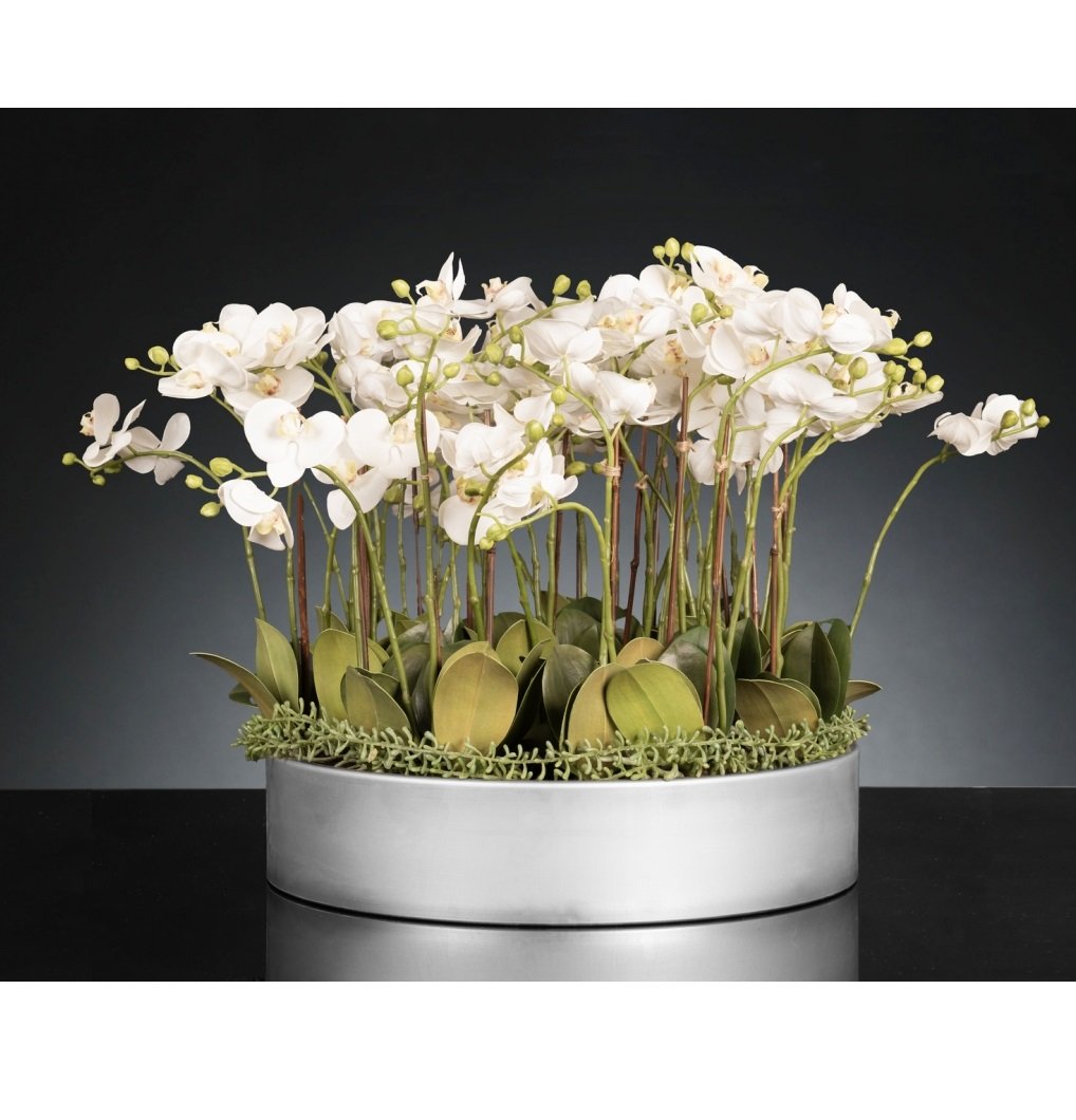 Aranjament floral mediu design LUX PHALEANOPSIS DISK, Aranjamente florale de lux, plante decorative & flori artificiale in ghiveci⭐ modele design modern ornamental natural pentru decor casa❗ ➽ www.evalight.ro. a