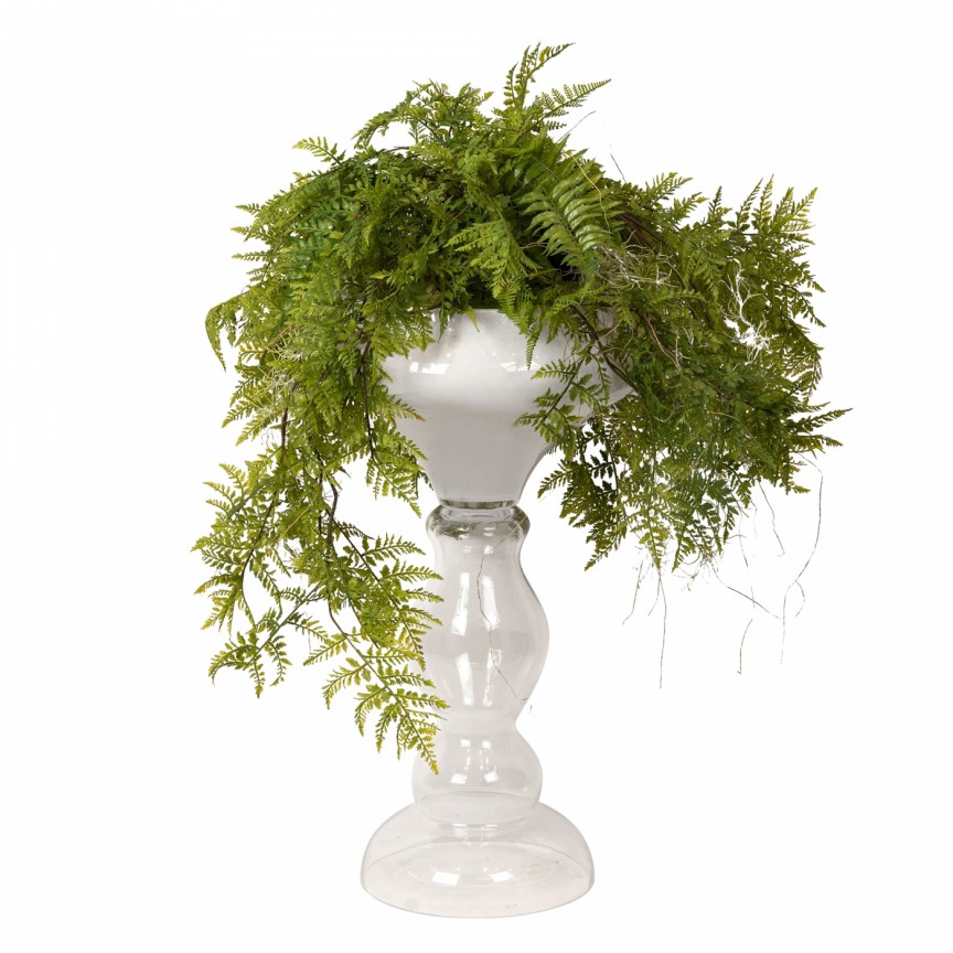 Aranjament floral mare ZEUS FERN ROOTS BALL, Aranjamente florale de lux, plante decorative & flori artificiale in ghiveci⭐ modele design modern ornamental natural pentru decor casa❗ ➽ www.evalight.ro. a