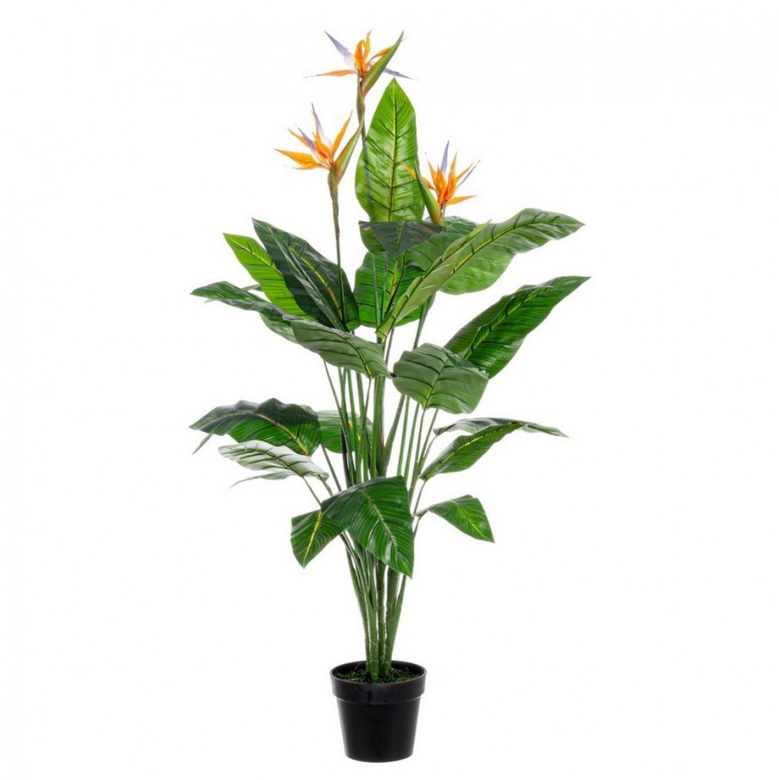 Planta artificiala decorativa STERLITZIA, H-150cm, Mobila si Decoratiuni interioare moderne de lux⭐ piese de mobilier modern cu stil exclusivist pentru casa❤️ colectii dormitor si living❗ Promotii la mobila si decoratiuni✅ Intra si vezi modele ✚ poze ✚ pret ➽ www.evalight.ro. ➽ sursa ta de inspiratie online❗ Idei si tendinte de design actual pentru amenajari premium Top❗ Mobila moderna unicat cu stil elegant contemporan ultra-modern, accesorii si oglinzi decorative de perete potrivite pentru interior si exterior. Cele mai noi si apreciate stiluri la mobila si mobilier cu design original: stil industrial style, retro, vintage (boem, veche, reconditionata, realizata manual (noua nu second hand), handmade, sculptata, scandinav (nordic), clasic (baroc, glamour, romantic, art deco, boho, shabby chic, feng shui), rustic (traditional), urban minimalist. Alege cele mai frumoase si rafinate articole si obiecte decorative deosebite, textile si tesaturi scumpe, vezi seturi de mobilier modular pe colt pt spatii mici si mari, cu picioare din metal combinat cu lemn masiv, placata cu oglinda si sticla, MDF lucios de culoare alba. ✅Amenajari interioare | Living | Dormitor | Hol | Baie | Bucatarie | Sufragerie | Camera de zi / Tineret / Copii | Birou | Balcon | Terasa si Gradina |  ✅Cumpara produse design la comanda sau din stoc, oferte si reduceri speciale cu vanzare rapida din magazine la cele mai bune preturi. Te aşteptăm sa admiri calitatea superioara a produselor noastre live în showroom-urile noastre din Bucuresti si Timisoara❗  a