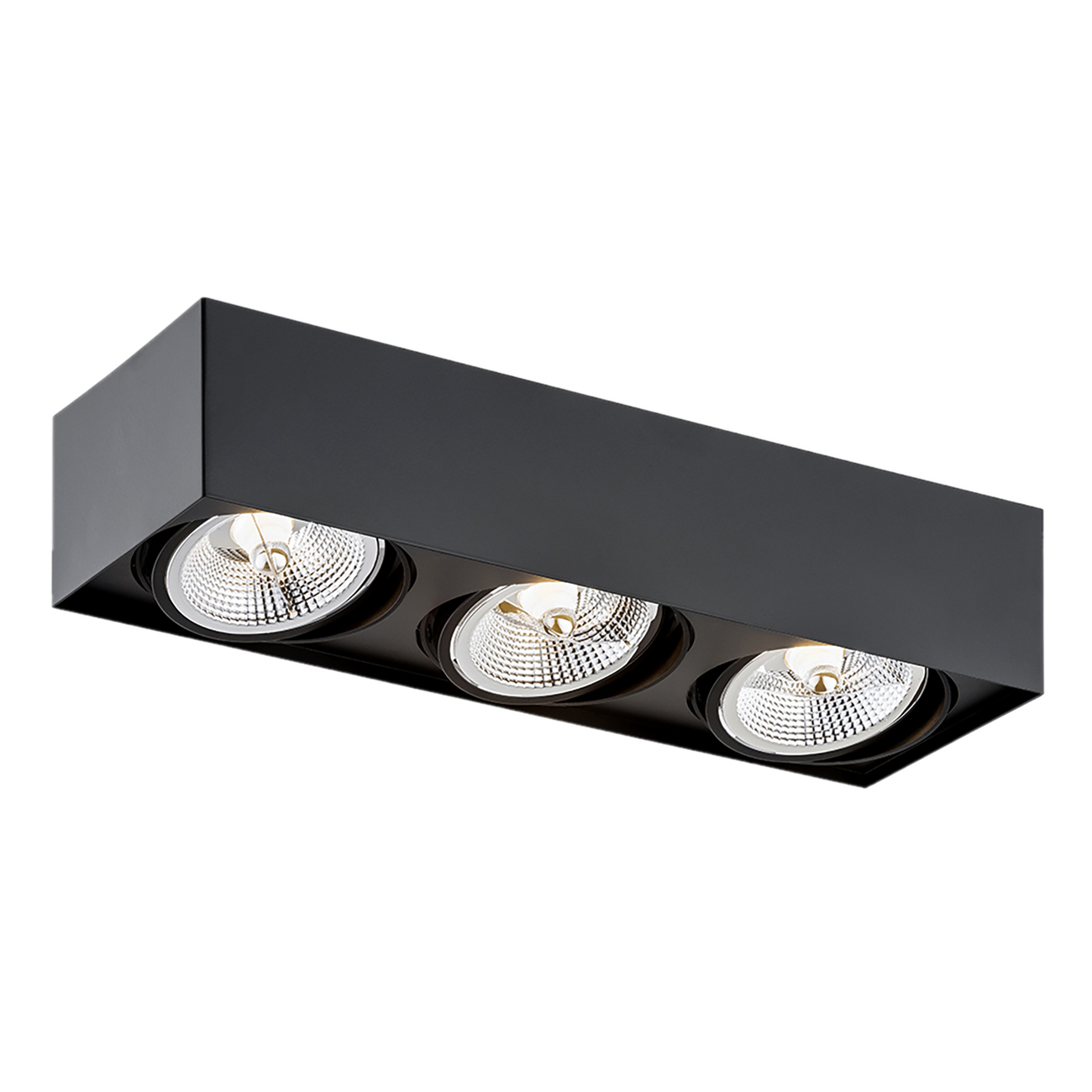 Plafoniera Spot aplicat tavan directionabil RODOS PLUS 3 negru, Corpuri de iluminat interior, moderne⭐ modele lustre interior pentru living, dormitor, bucatarie, baie.✅DeSiGn decorativ de lux!❤️Promotii lampi❗ ➽www.evalight.ro. Alege Corpuri de iluminat interior elegante in stil modern, suspendate sau aplicate de tavan si perete, ieftine de calitate deosebita la cel mai bun pret.
 a