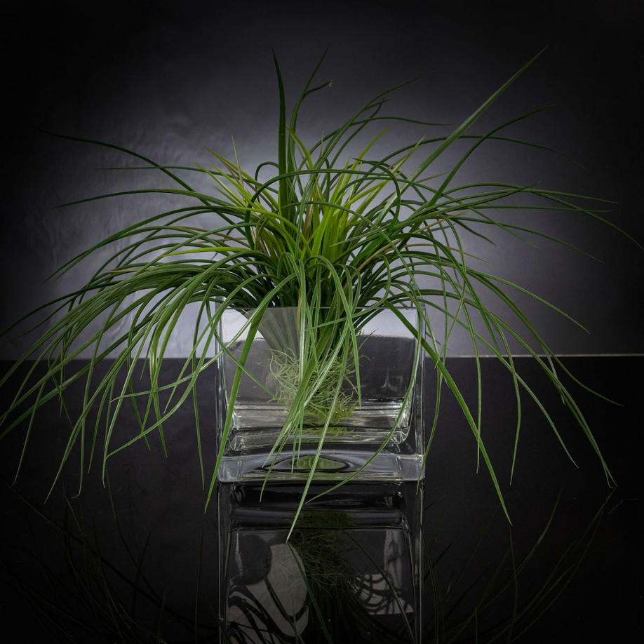 Aranjament floral mediu design LUX SQUARE GRASS, Aranjamente florale de lux, plante decorative & flori artificiale in ghiveci⭐ modele design modern ornamental natural pentru decor casa❗ ➽ www.evalight.ro. a