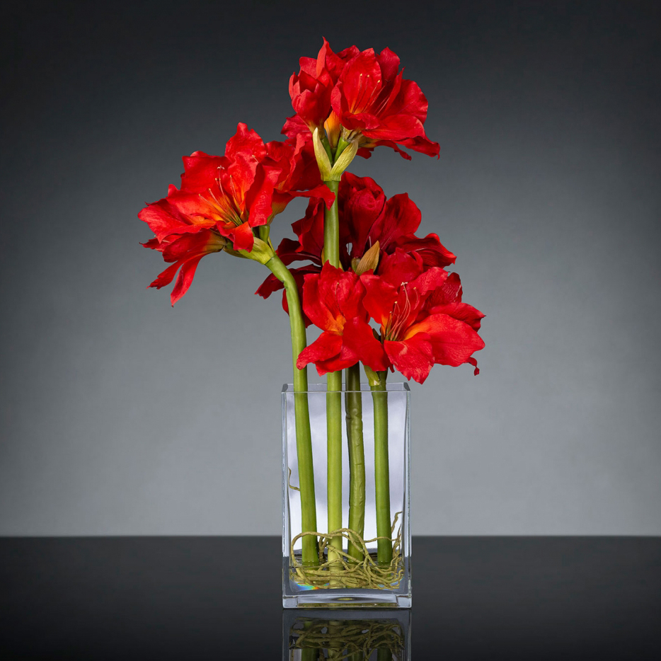 Aranjament floral mediu design LUX AMARYLLIS RADISH RED, Aranjamente florale de lux, plante decorative & flori artificiale in ghiveci⭐ modele design modern ornamental natural pentru decor casa❗ ➽ www.evalight.ro. a