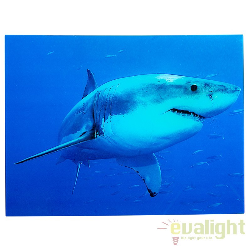 Tablou decorativ imagine imprimata pe sticla, Shark 60x80cm A-37414 VC, Promotii lustre, reduceri⭐ corpuri de iluminat, mobila si decoratiuni de interior si exterior.⭕Oferte Pret redus online ➽ www.evalight.ro❗ a