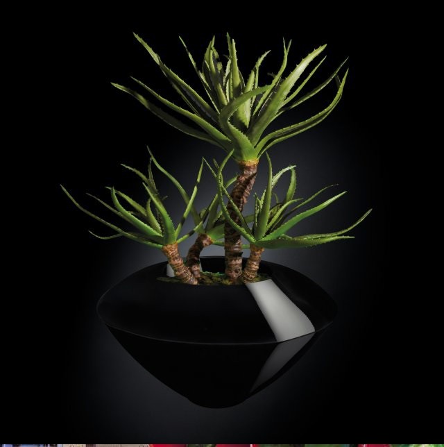 Aranjament floral design LUX, CAIRO IN SHINY VASE, negru 150cm 1141234.96, Aranjamente florale de lux, plante decorative & flori artificiale in ghiveci⭐ modele design modern ornamental natural pentru decor casa❗ ➽ www.evalight.ro. a