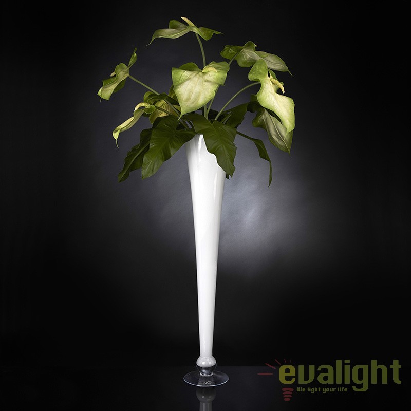 Aranjament floral elegant din anthurium ARRANGEMENT GLAD 1141344.95, Aranjamente florale de lux, plante decorative & flori artificiale in ghiveci⭐ modele design modern ornamental natural pentru decor casa❗ ➽ www.evalight.ro. a