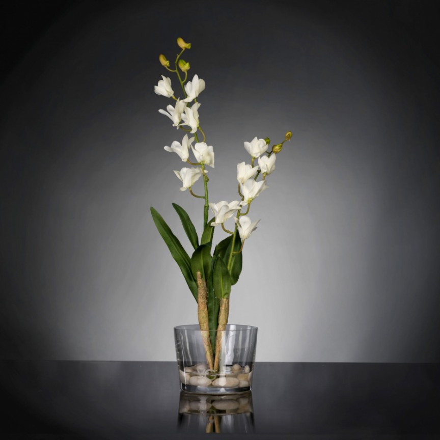 Aranjament floral elegant, design LUX ETERNITY ALFEO CYMBIDIUM, Aranjamente florale de lux, plante decorative & flori artificiale in ghiveci⭐ modele design modern ornamental natural pentru decor casa❗ ➽ www.evalight.ro. a