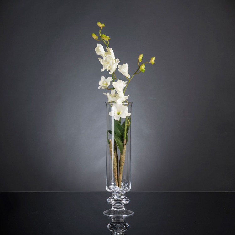 Aranjament floral elegant, design LUX ETERNITY DENDROBIUM ORCHID PLANT, Aranjamente florale de lux, plante decorative & flori artificiale in ghiveci⭐ modele design modern ornamental natural pentru decor casa❗ ➽ www.evalight.ro. a