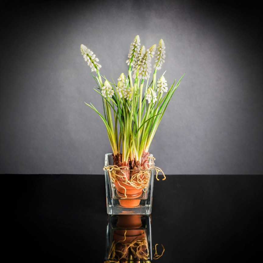 Aranjament floral mic decor festiv design LUX ETERNITY CUBO MUSCARI IN COTTO, Aranjamente florale de lux, plante decorative & flori artificiale in ghiveci⭐ modele design modern ornamental natural pentru decor casa❗ ➽ www.evalight.ro. a