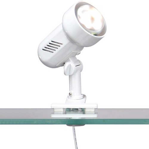 Veioza Birou Basic 5496 GL, Veioze / Lampi de Birou, LED⭐ modele vintage moderne sau clasice pentru iluminat birou copii si office.✅DeSiGn original de lux!❤️Promotii lampi birou❗ ➽www.evalight.ro. Alege corpuri de iluminat birou living pt citit cu reader LED, cu brat flexibil (articulat), cu clips (clema), calitate deosebita la cel mai bun pret. a